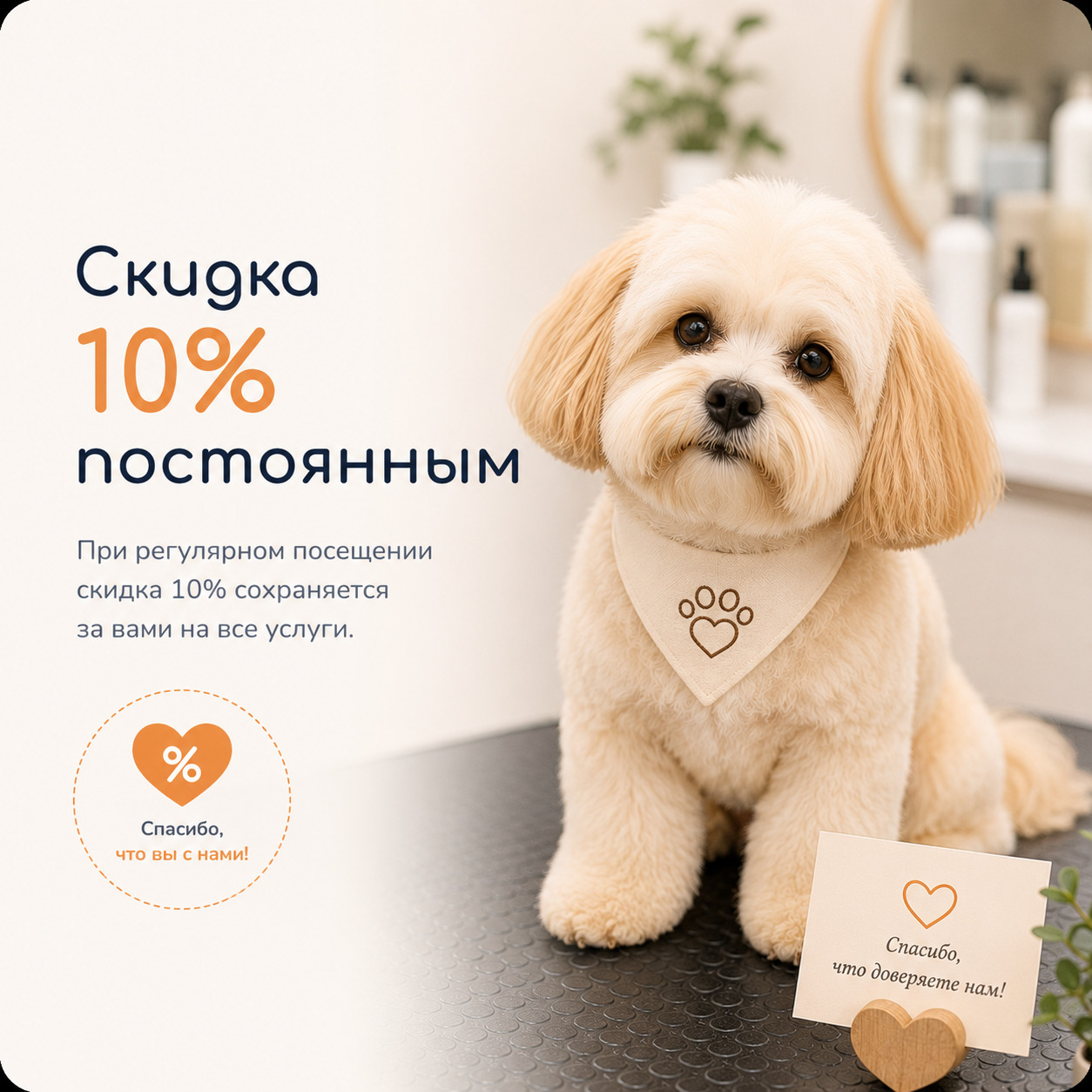Постоянный клиент груминг-салона «Чистый хвостик» со скидкой 10% на стрижку собаки